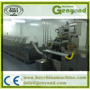 Machine d&#39;encapsulation de Softgel de vente chaude (GYWJ-100II)